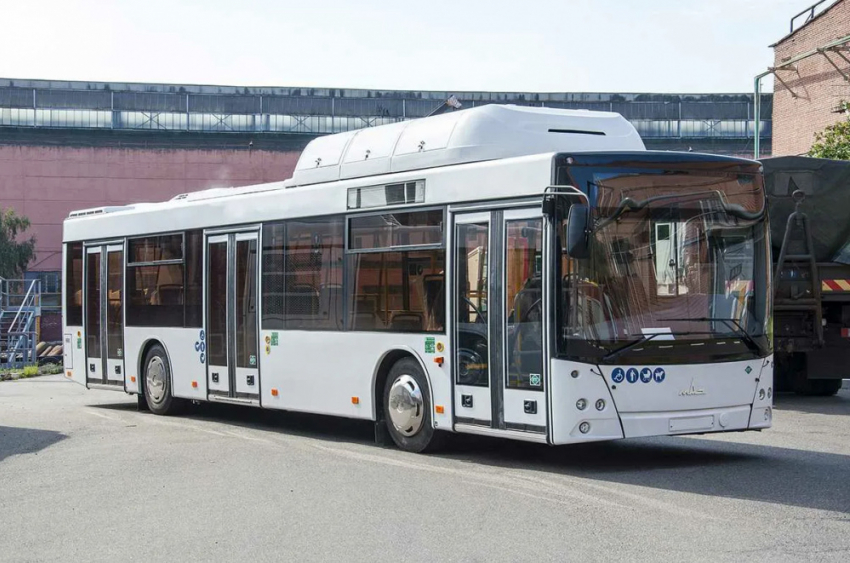 Горбатые и белые: в Самару прибыли новые автобусы