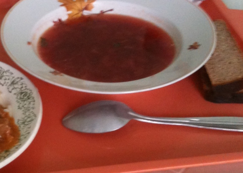 Самарские школьники вылавливали пауков из супа