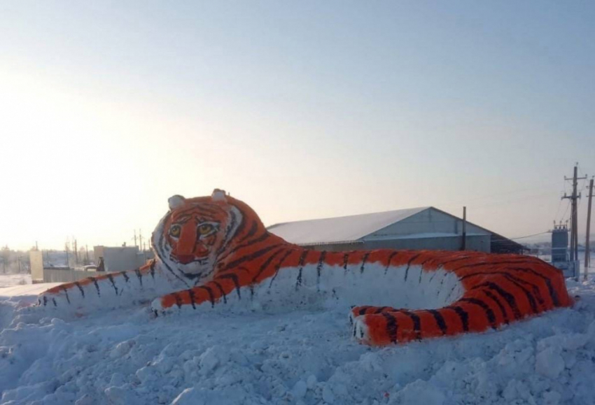 Жители Самарской области слепили из снега огромного тигра