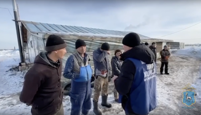В тепличном комплексе в Красноярском районе пресекли незаконную работу мигрантов
