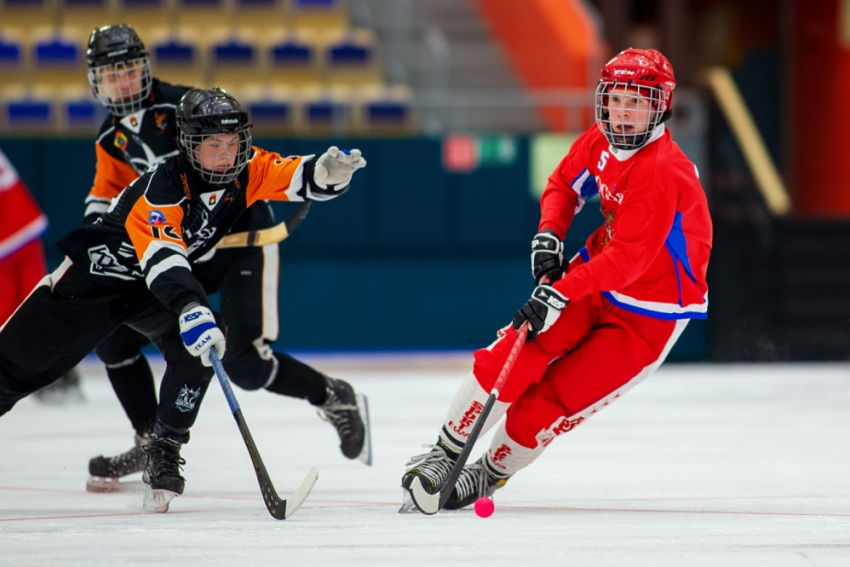 Что почём – хоккей с мячом: в Самарской области соревнования по зимнему виду спорта начнутся осенью 