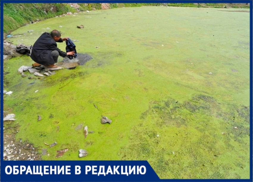 «Бомжам хорошо, а черепашки сдохли»: самарцы просят спасти сквер и родничок Надежды