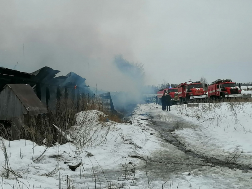 Животноводческая ферма горела в Самарской области