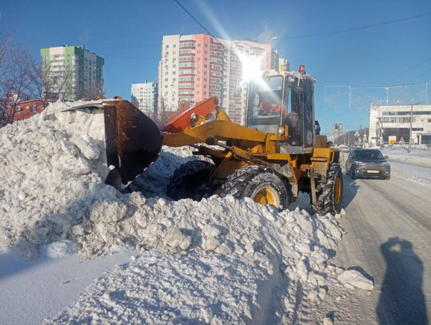 «Не ждите следующего снегопада!»: Елена Лапушкина обратилась к управляющим компаниям