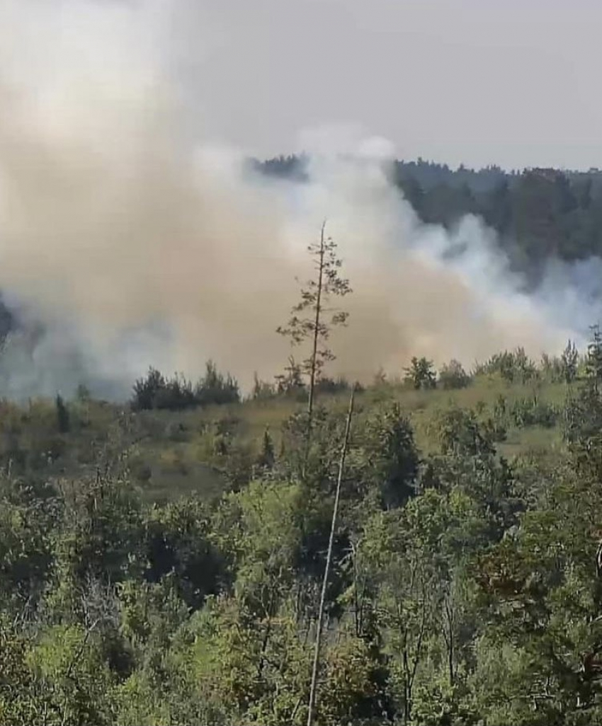 В Тольятти горит 6 гектаров леса