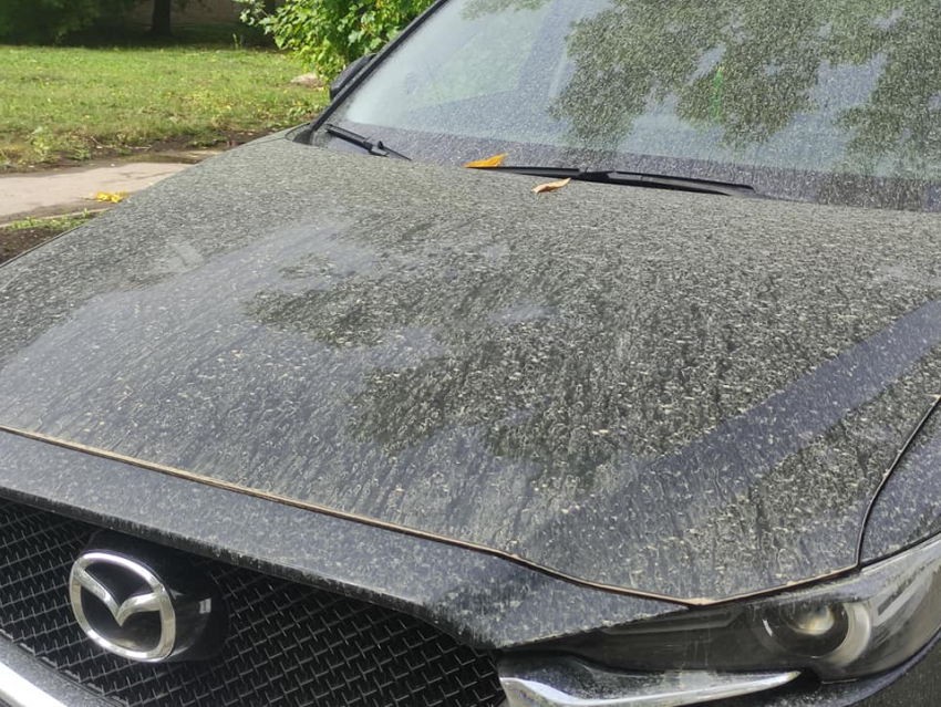 На самарских автомойках очереди из желающих отмыть свои машины от странных осадков