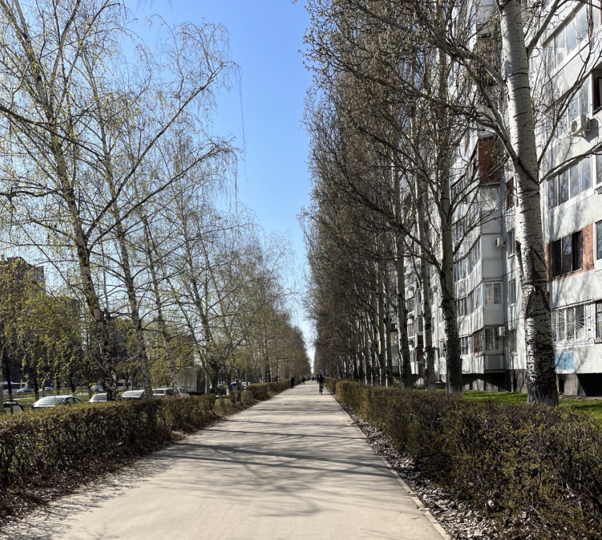 В начале недели в Самаре будет тепло и солнечно