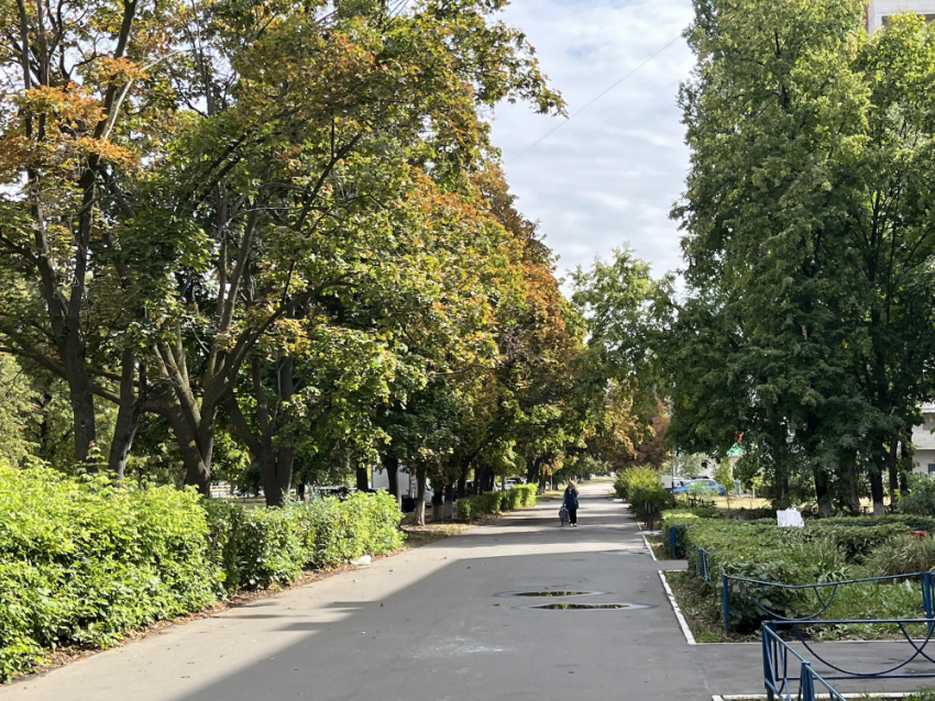 В Самарской области объявлен жёлтый уровень опасности из-за ветра