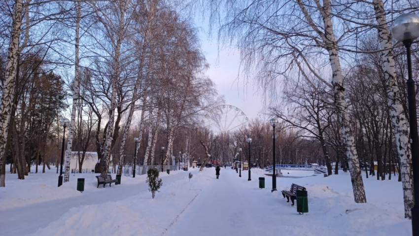 Со вторника в Самарской области установится по-зимнему морозная погода