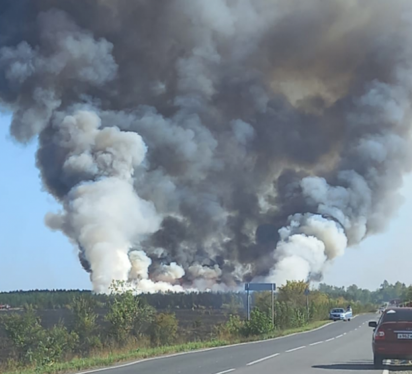 На границе Самарской и Ульяновской области горит лес