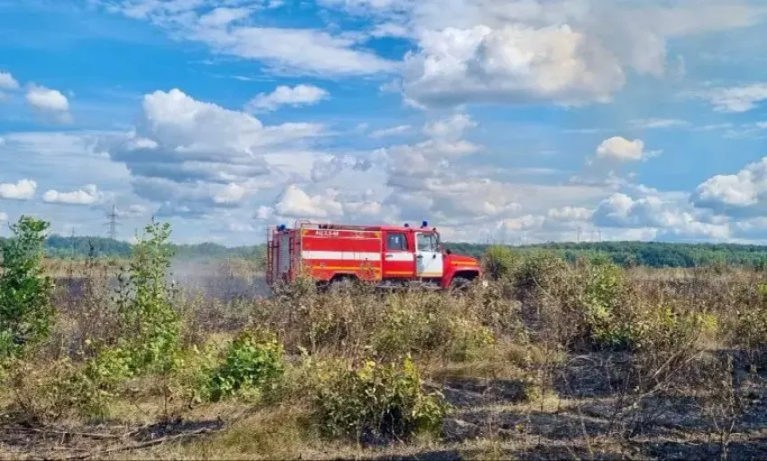 В Самарской области потушили крупный лесной пожар