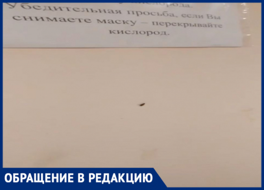 «Ну не в таком количестве!»: в самарской больнице №6 тараканы не дают пациентам спать