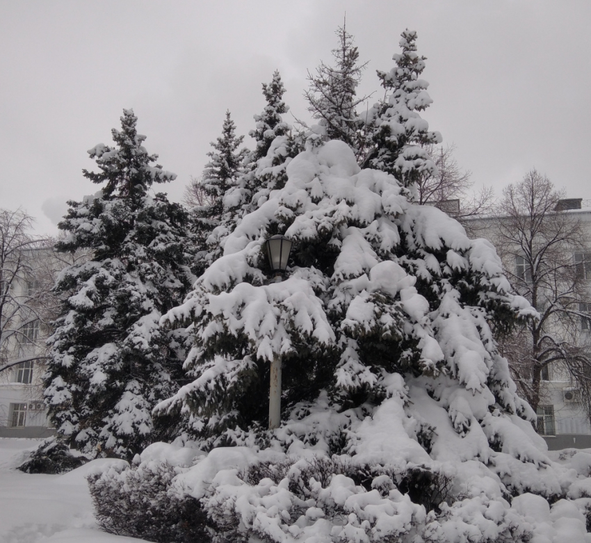 23 февраля Самару накроет снег с дождём и сильный ветер