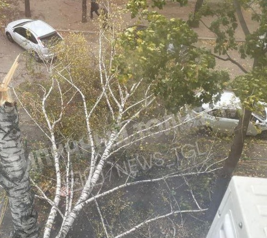 Падали деревья, крыши и даже стены: накануне в Самарской области разбушевался ветер 