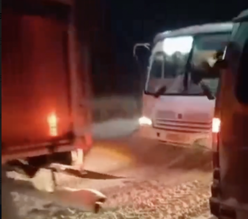Во время снежной бури в Самарской области спасли 5 пассажирских автобусов и авто с грудным ребёнком