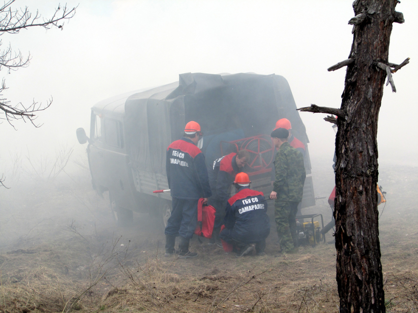 Пожар в Борском районе локализован