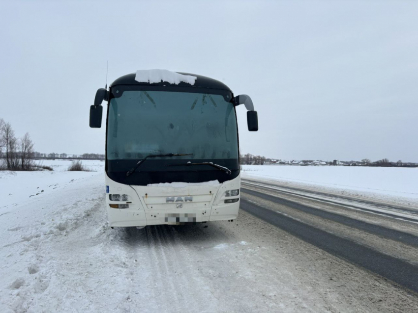 Автобус с 58 пассажирами заглох на морозе по пути в Ульяновскую область