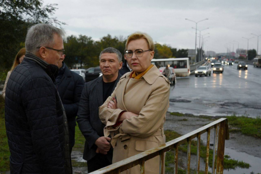 Елена Лапушкина отреагировала на поручение губернатора и побывала на Южном мосту