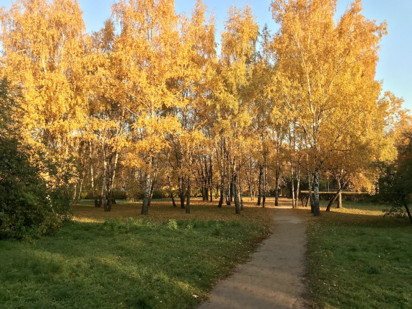 В Самаре становится холоднее
