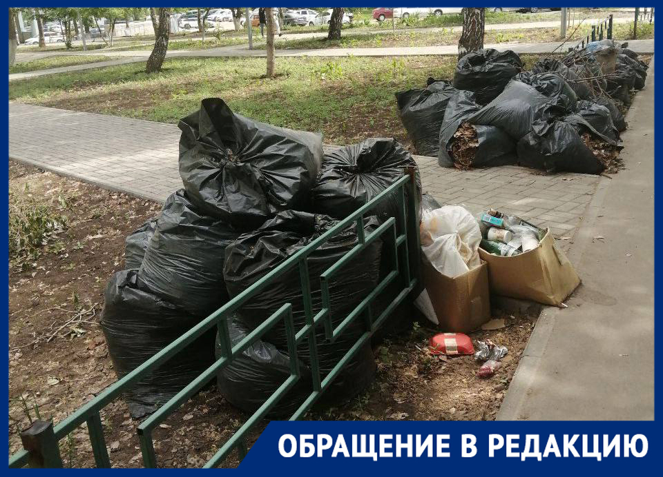 «Зачем народ сгоняли?»: по итогам субботника на Ново-Садовой во дворе у детского сада появилась свалка