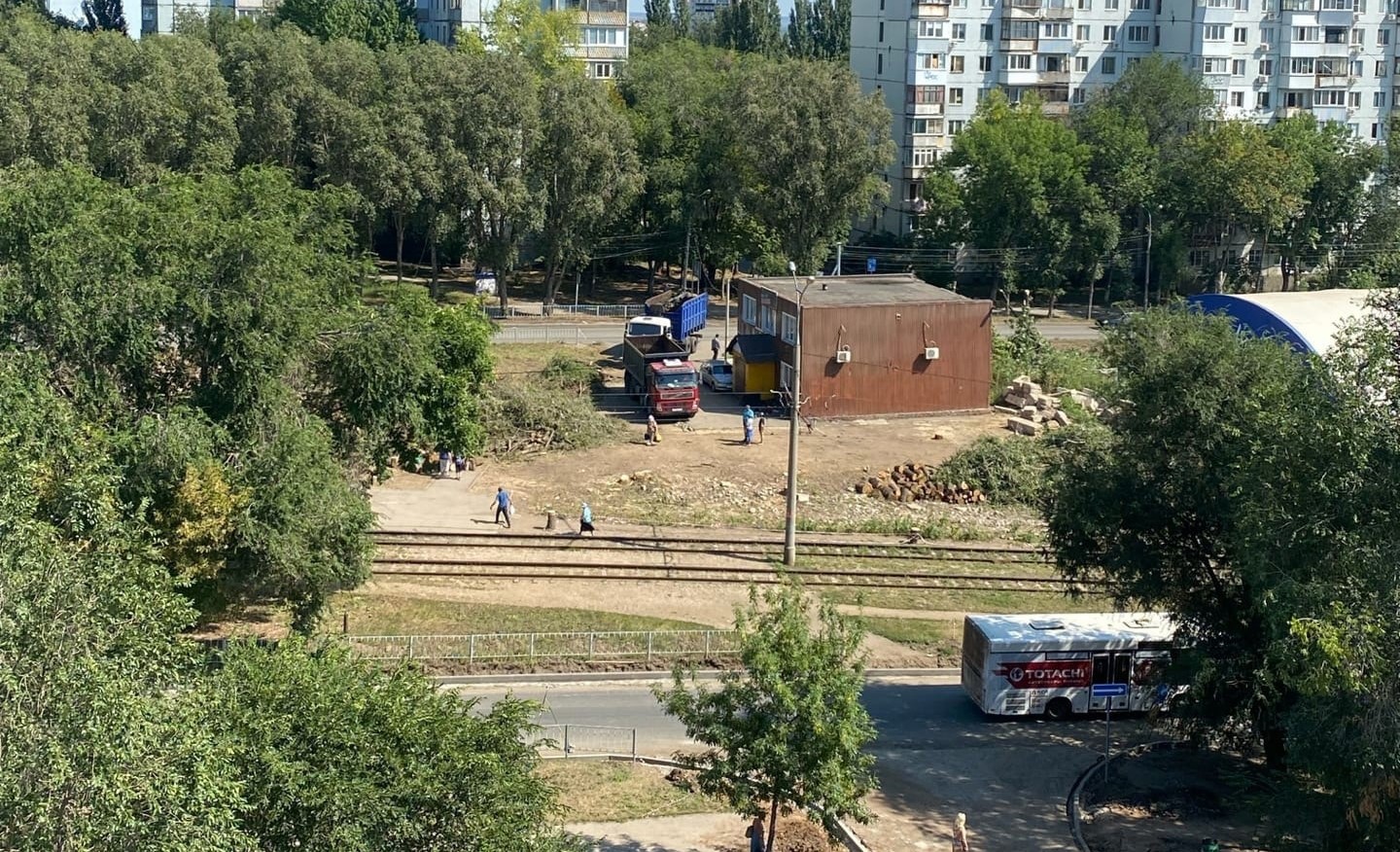 Всю Самару превратили в пустыню»: самарцы пожаловались на вырубку деревьев  на Ташкентской улице