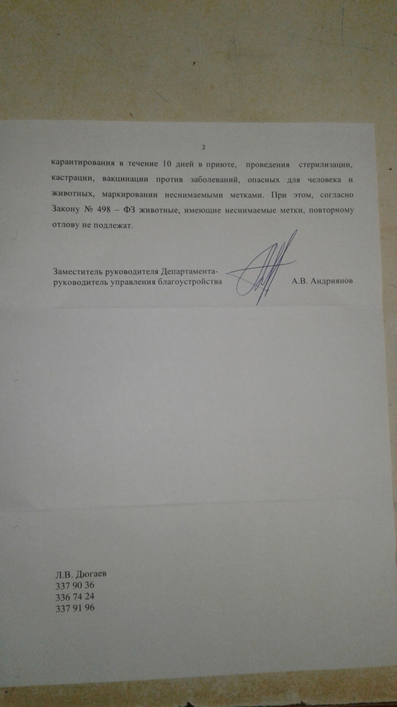 vsU3J0EFlEc.jpeg