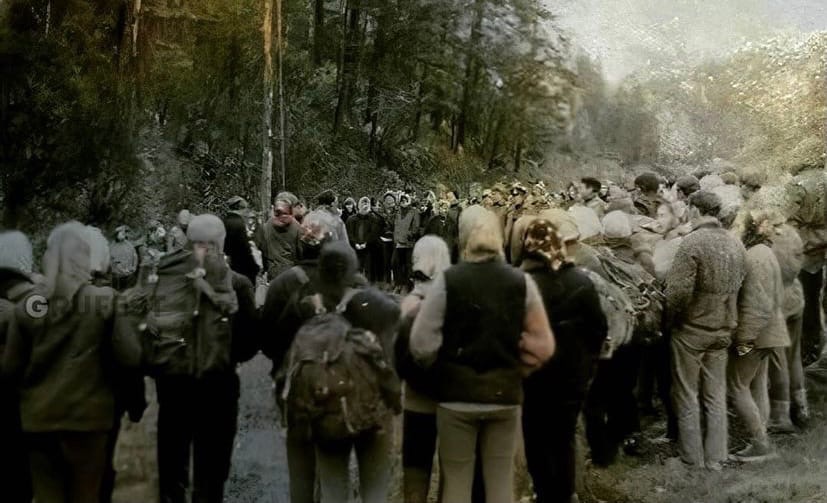 Фото из инстаграма сообщества grushinskiy.festival 1LJ7OyqQRrs.jpg